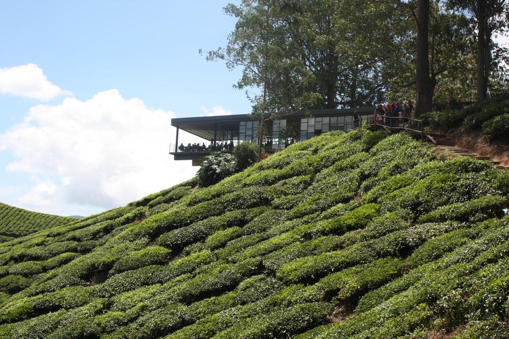 Cameron Strawberry Residence Cameron Highlands Eksteriør bilde